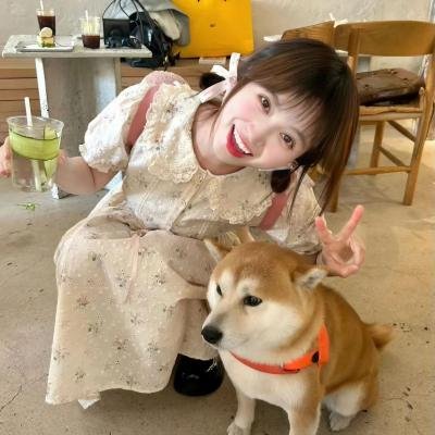 完美家庭